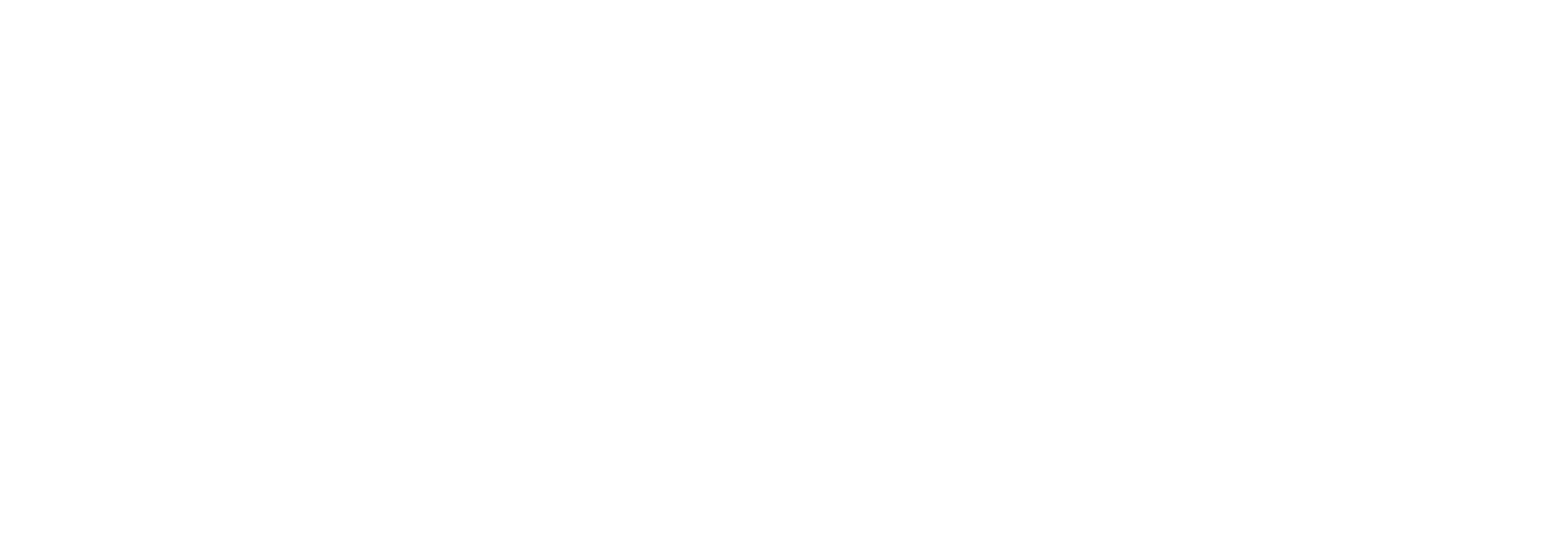 iBIZai.ai — Intelligent Business with AI